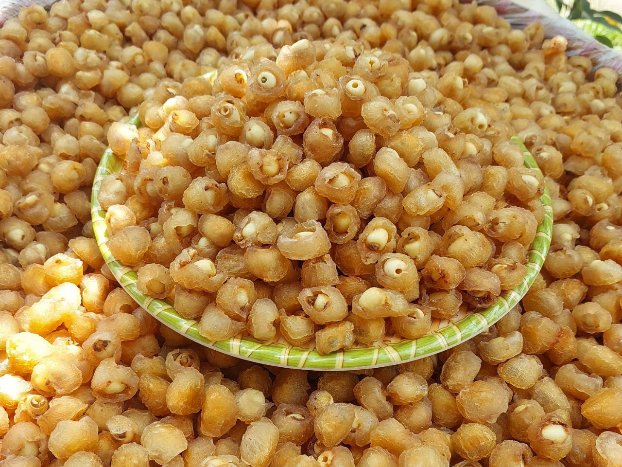 long-nhan-om-sen-tui-500g 4